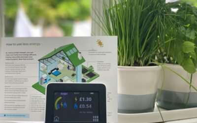 Trialling smart meters and time of use tariffs with low income customers