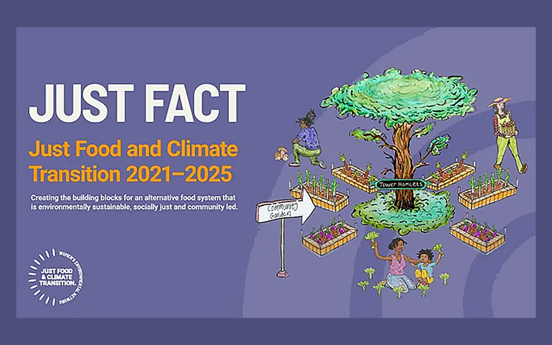 Programme Evaluator for the Just Food and Climate Transition (Just FACT) Programme