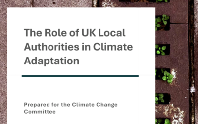The Role of UK Local Authorities in Climate Adaptation